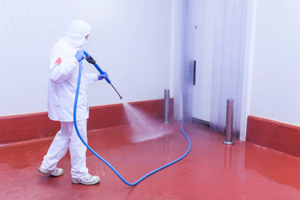 Best Patio and Deck Pressure Washing  in Tellico Village, TN
